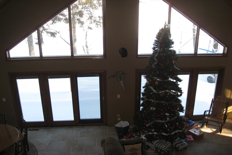 ../image/tree at cabin 4.jpg